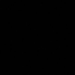 Meet your Posher, Ray